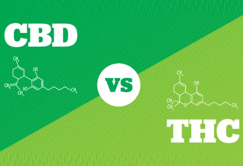 Infographic comparing CBD and THC, featuring molecular structures on a green background, highlighting their differences and uses in cannabis products.